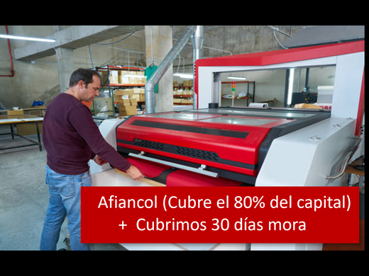 P. Surtiplate.png